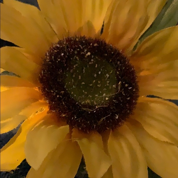 Meet your Posher, Debbie - Picture 1 of 1